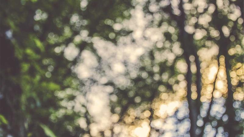 Daily Habits for Longevity: Live Longer Now
