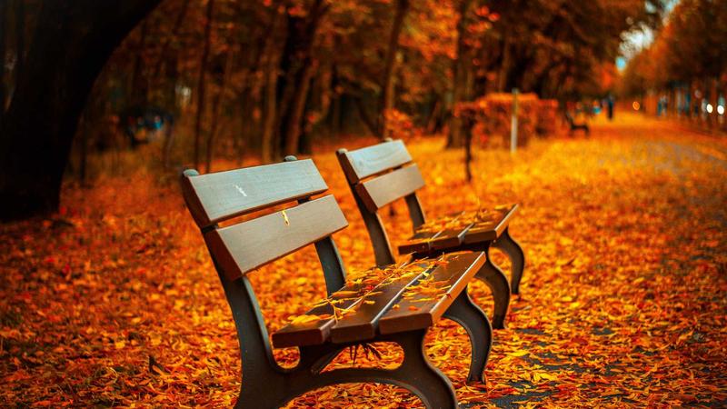 K-Wellness: Korean Health Habits That Actually Work