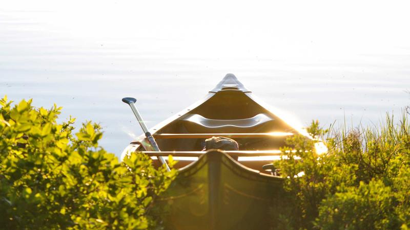 5 Daily Habits Longevity Experts Actually Practice